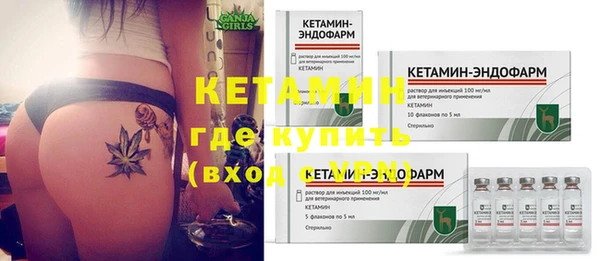 трава Няндома