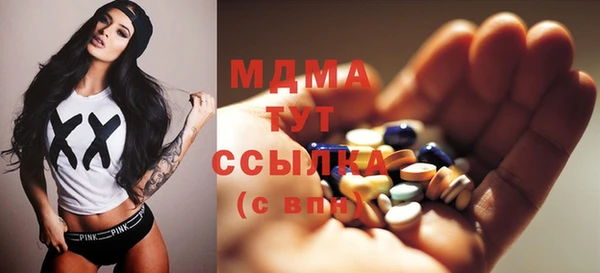 шишки Бородино