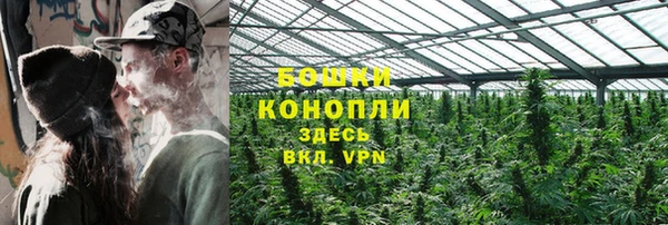 ALPHA PVP Богородицк