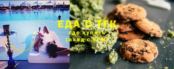 ALPHA PVP Богородицк