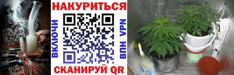 цена наркотик  Орехово-Зуево  Канабис Amnesia 